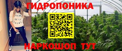 шишки Бузулук