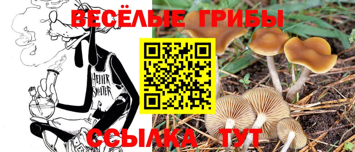 Холмск  цены наркотик  Вход с VPN  Галлюциногенные грибы мухоморы 