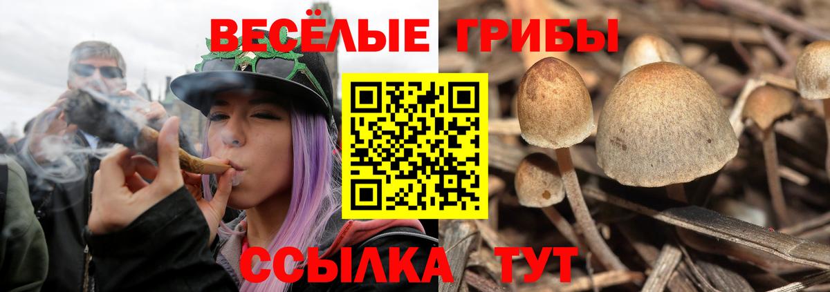 Галлюциногенные грибы ЛСД Холмск